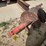 #9615-•-bobcat-18"-auger-bit-image-4