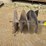 #9617-•-bobcat-30"-auger-bit-image-2