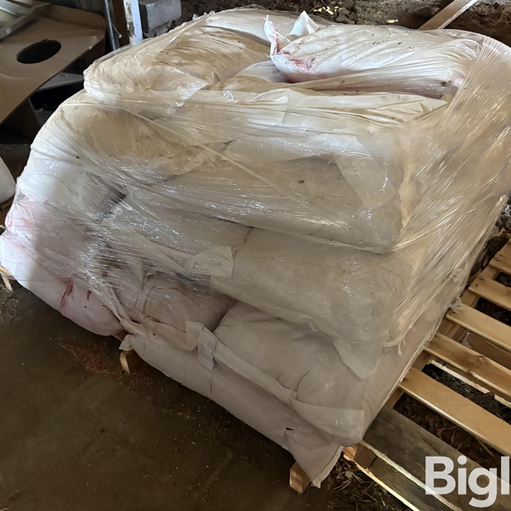 2025 Hayes Barley Seed