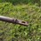 #1329-•-adam-leaning-steel-wheeled-grader-image-23