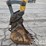 2008-neuson-8003-image-24