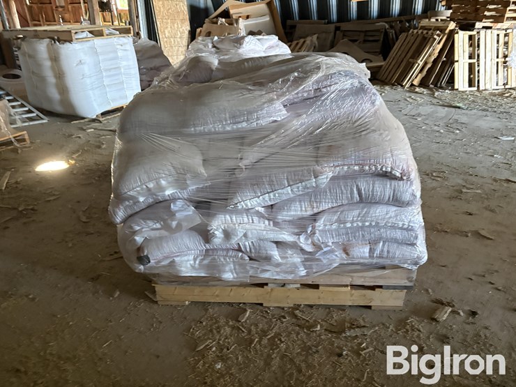 2025-hayes-barley-seed-image-8