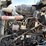 2013-kenworth-t660-image-20