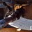 2007-case-521d-xt-image-35