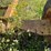 #3510-•-1988-approx-100'-conveyer-image-29