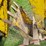 #8742-•-davis-3pt/skid-steer-backhoe-image-11