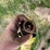 #8717-•-winpower-towable-generator-image-10