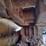 komatsu-d51pxi-24-image-18