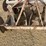 #2206-•-ih-48"-disc-image-9