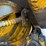 caterpillar-824b-image-83
