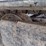 2012-caterpillar-305e-cr-image-16