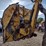2008-john-deere-5603-image-35