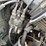 toyota-42-4fg025-forklift-image-36