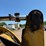 caterpillar-928g-image-14