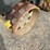 wacker-neuson-rt-image-10