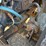 2006-caterpillar-c9-image-63