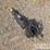 unused-captok-hydraulic-wood-drill-to-suit-1-3-ton-excavator-image-2