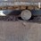 2011-hitachi-zx35u-3-image-30
