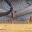 2016-deere-850k-image-29