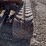 2011-hitachi-zx35u-3-image-16