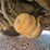 1999-caterpillar-c12-image-65