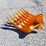 unused-2026-captok-cat305-excavator-ripper-image-4