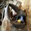 #9242-•-2-crates-and-bucket-full-of-hardware-and-more-image-35