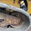 2016-caterpillar-259d-image-22