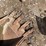 #9175-•-excavator-bucket-image-3