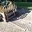 2019-caterpillar-259d-image-20