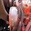 2015-freightliner-108sd-image-31
