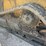 #9151-•-skidsteer-image-9