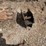 #9174-•-excavator-attachment-for-auger-image-4