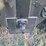 #46111-•-2008-mack-gu713-granite-single-cab-t/a-dump-truck-1m2ax04c08m001265-inv#46111-image-8