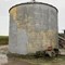 david-f.-edwards-estate-farm-auction-image-2