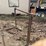 #9171-•-bucket-forks-image-2