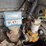 2004-international-durastar-4300-image-19