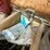 #9223-•-shelf-contents-of-right-side-image-29