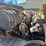 2002-international-durastar-4400-image-26