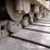 2020-komatsu-pc490-lc-11-image-51