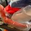 #9238-•-4th-shelf-items-image-10