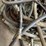 #9243-•-lot-of-hydraulic-hoses-image-17