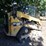 2019-caterpillar-259d-image-4