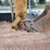 2016-caterpillar-430f2-it-image-36