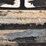 2004-king-trail-image-4
