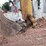 2016-caterpillar-430f2-it-image-33