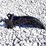 unused-2026-captok-excavator-ripper-image-4
