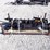 unused-2026-captok-qty-of-(8)-excavator-image-2