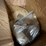 #9223-•-shelf-contents-of-right-side-image-15