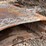 #9177-•-excavator-bucket-image-4